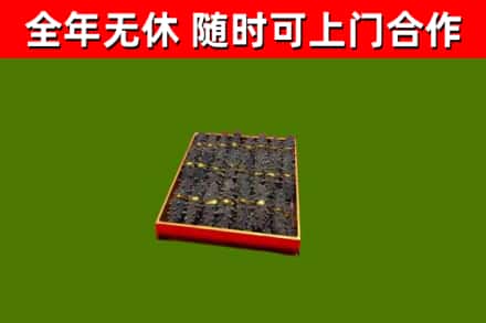 翼城回收海参
